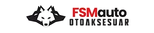 FSMauto Oto Aksesuar